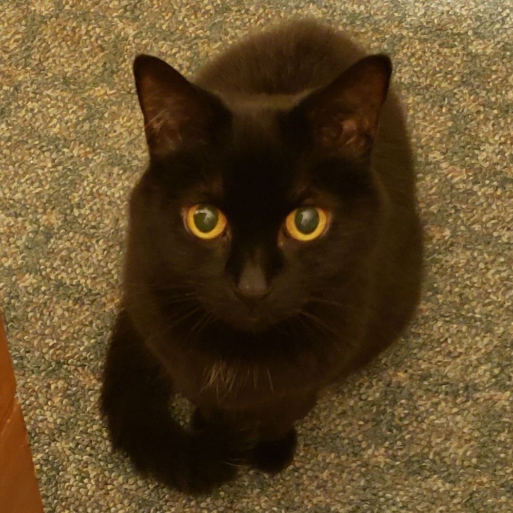 Meet your Posher, Joyce